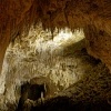 NZ Waitomo caves 9236